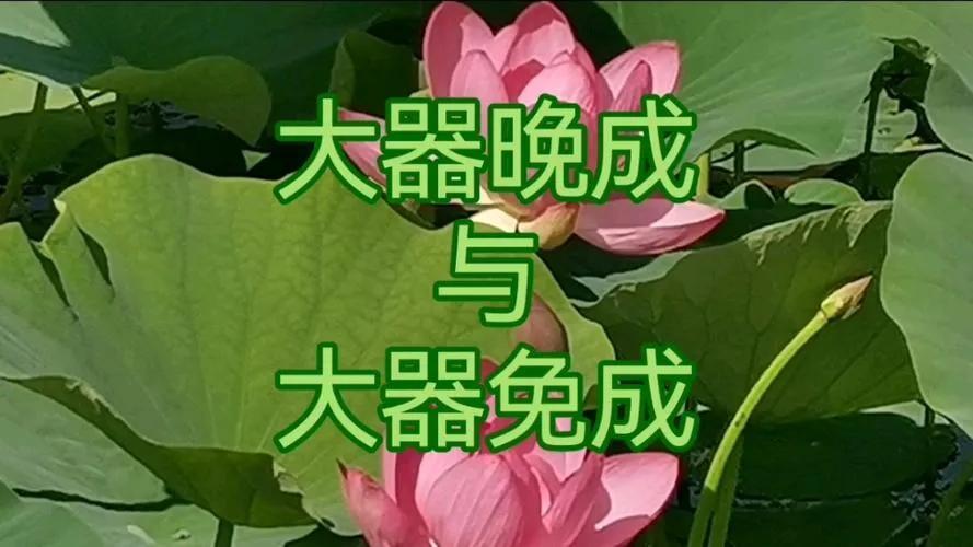 道德经中大器免成和大器晚成的区别