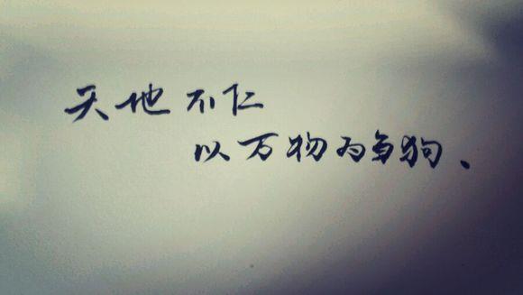 天地不仁，以万物为刍狗，如何理解？