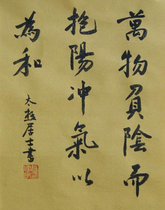 道德经中“万物负阴而抱阳，冲气以为和”的感悟