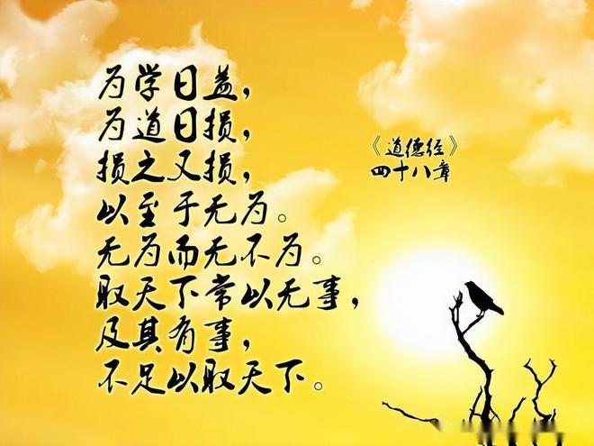 道德经中如何理解“为学日益，为道日损”这句话？