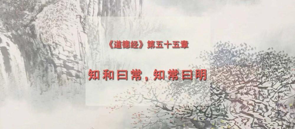 《道德经》第五十五章有感