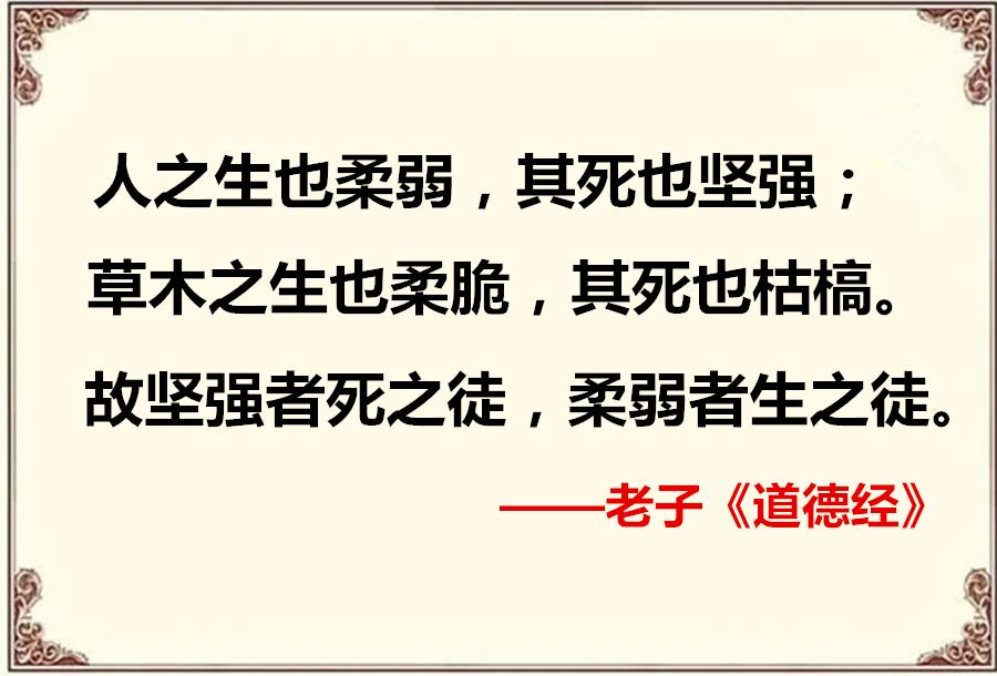 《道德经》第七十六章感悟心得