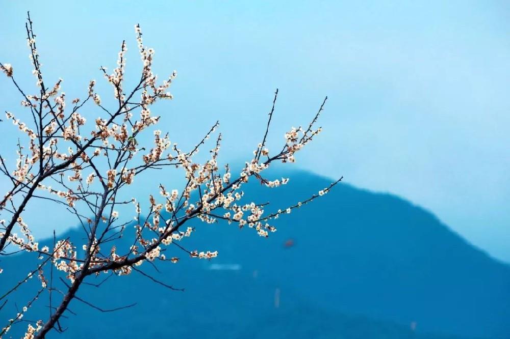 王德峰教授讲解《道德经》之辩证思想（二）