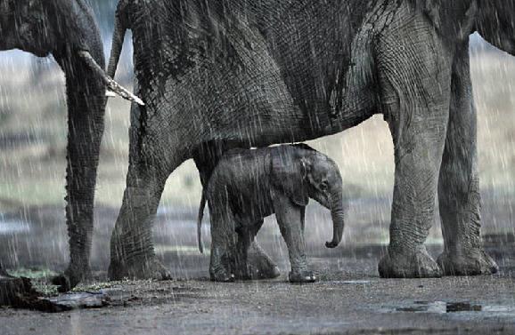 傅佩荣教授讲解《道德经》第十章：自我修炼的六个步骤（下）