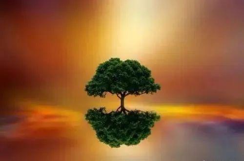 傅佩荣教授讲解《道德经》第二十一章：让成败得失化解在道中（下）