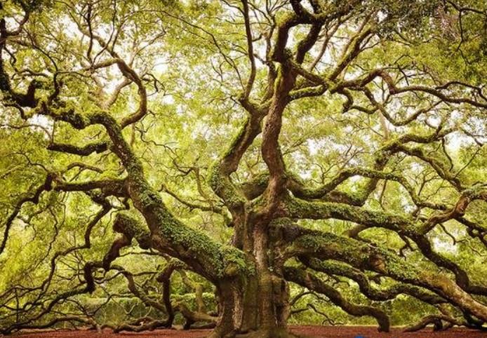 傅佩荣教授讲解《道德经》第二十八章：策略与目的要如何配合（下）