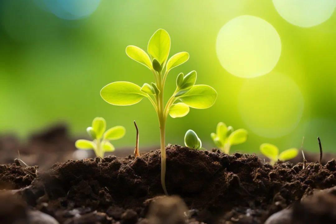 傅佩荣教授讲解《道德经》第三十七章：“道”到底存不存在（下）