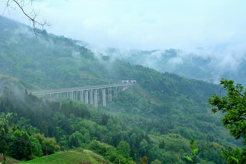 傅佩荣教授讲解《道德经》第三十九章 人生的关键：顺势而为（下）