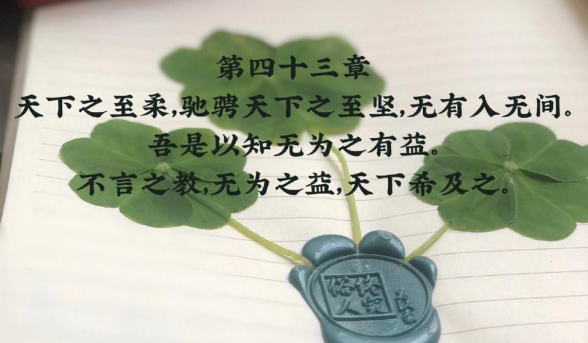 傅佩荣教授讲解《道德经》第四十三章：无所作为的好处（上）