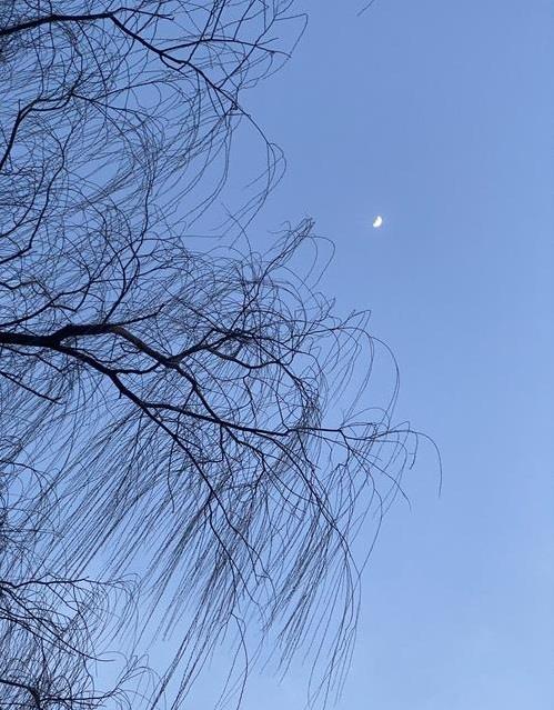 傅佩荣教授讲解《道德经》第四十四章：知道停止，就不会碰到危险（下）