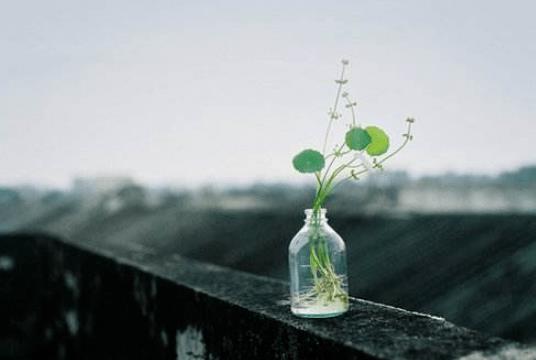 傅佩荣教授讲解《道德经》第五十六章：知者不言，言者不知（下）