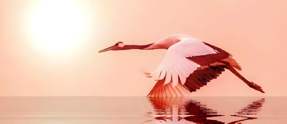 陈致虚《道德经转语》五十三